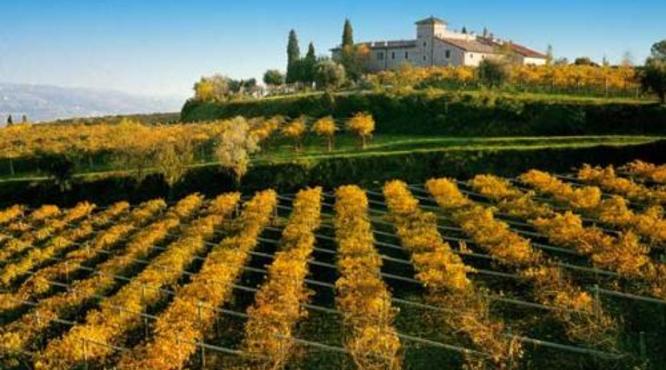 意大利红酒产区排名