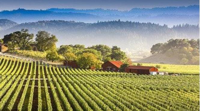 美国加州最著名葡萄酒产区