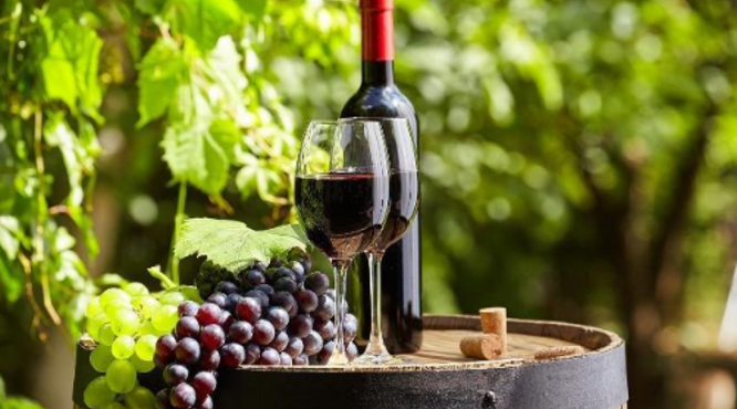 葡萄酒的品酒步骤，怎么喝合适？