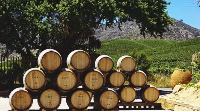 卡萨布兰卡谷：智利白葡萄酒的代名词