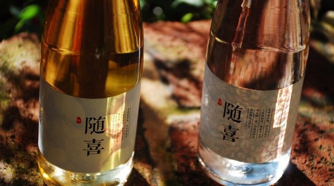 什么是青稞酒(青稞酒的意思)