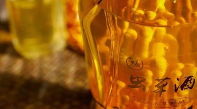 虫草酒的价格查询(虫草酒的价格查询)