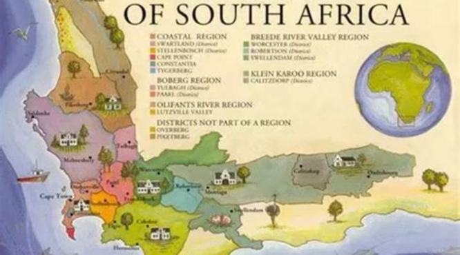 买南非葡萄酒上1688,如何选购南非葡萄酒