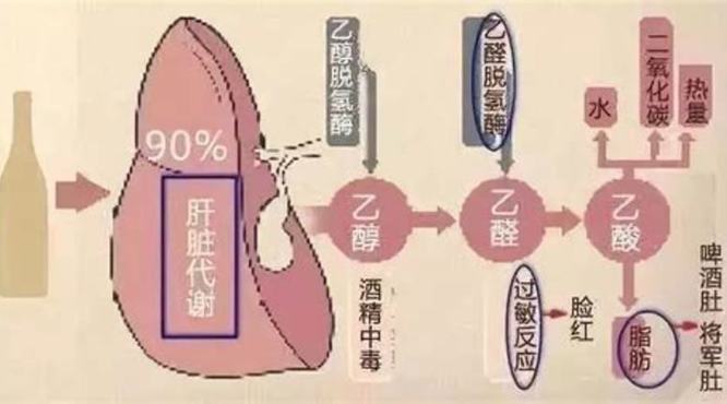 雪碧掺红酒有什么后果,红酒加雪碧有什么作用