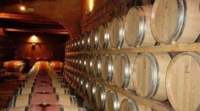 法国红酒葡萄品种,红酒葡萄有多少品种