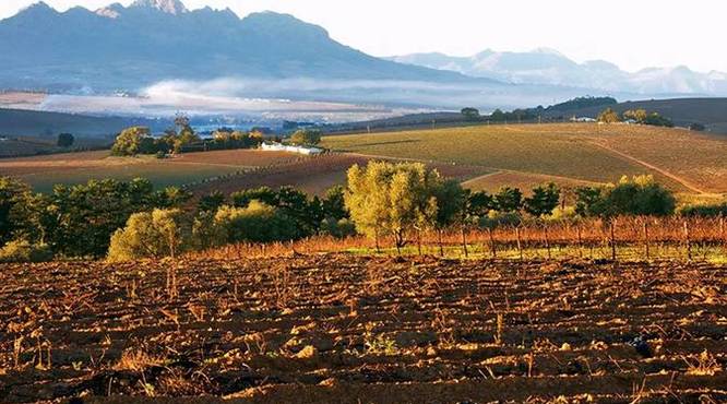 南非葡萄酒是新世界(南非葡萄酒是新世界吗)