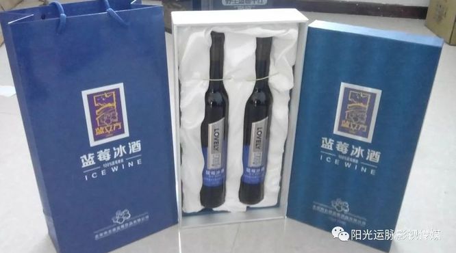 加拿大蓝莓冰酒价格(加拿大蓝莓酒价格表)