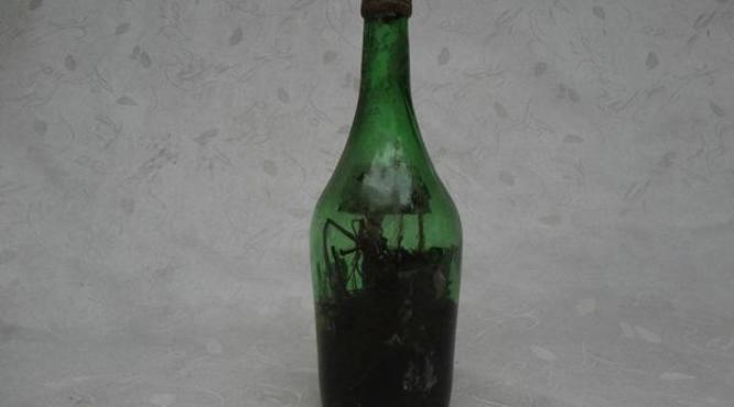 八十年代葡萄酒瓶(80年代的葡萄酒)