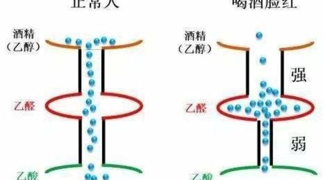 酒量大的人不在其中,关键词