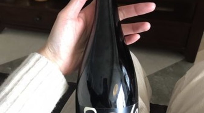 如何葡萄酒盖子掀开(葡萄酒的盖子怎么开)