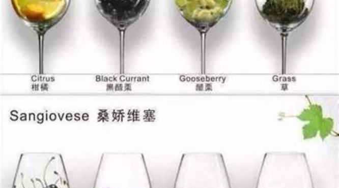 赤霞珠葡萄酒有哪些,带你走进赤霞珠葡萄品种