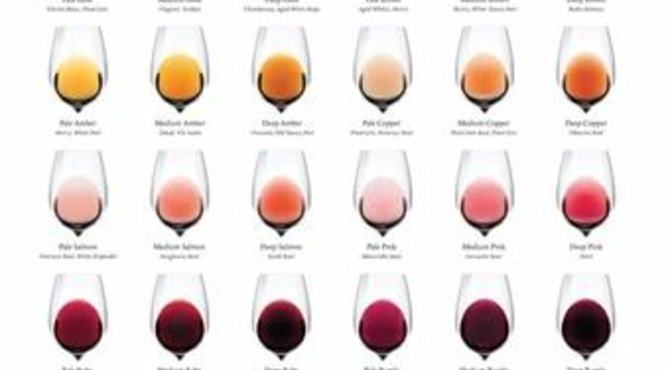 按照颜色将葡萄酒各分为哪些种类,葡萄酒只了解红白桃红