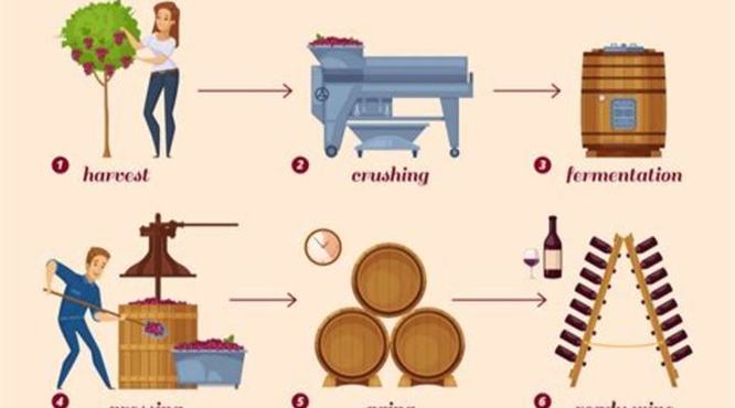 红酒怎么生产,你知道葡萄酒是怎么生产的吗