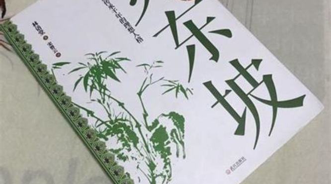 苏东坡百年缘什么价格,苏东坡和李清照是什么关系