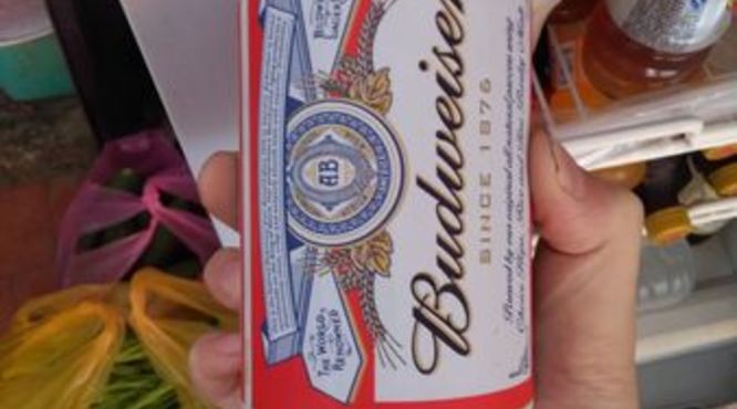 百威啤酒多少钱一瓶330(330百威啤酒多少钱一箱)