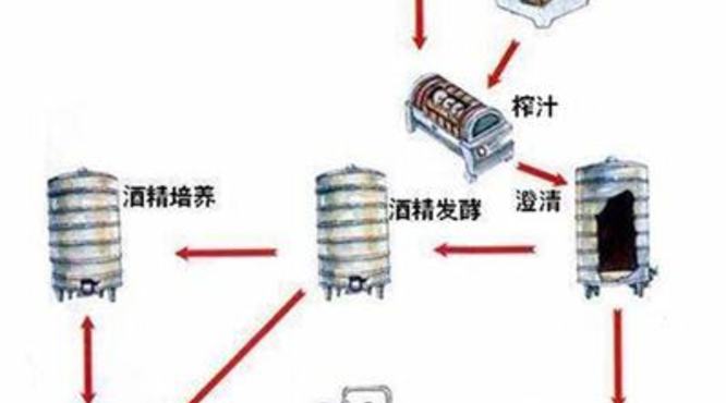 红酒为什么特别酸,为什么别人都说好喝