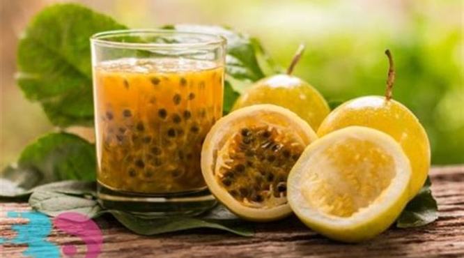 什么绿色的果子能泡酒,农村常见的山茶籽可以泡酒吗