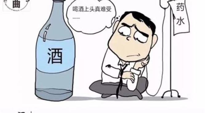 纯粮酿酒的简介是什么,现在的酒多少是纯粮食酿造的