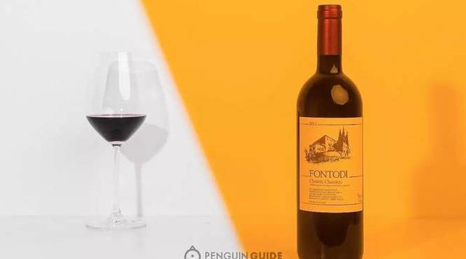 fontodi红酒价格(magnifico红酒价格)