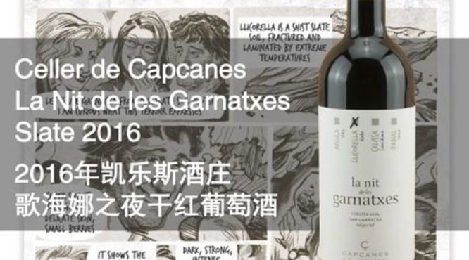 意大利garnacha葡萄酒(意大利葡萄酒gaja)