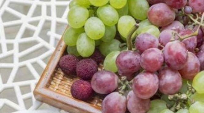 葡萄品种如何区分,如何科学选择适栽葡萄品种