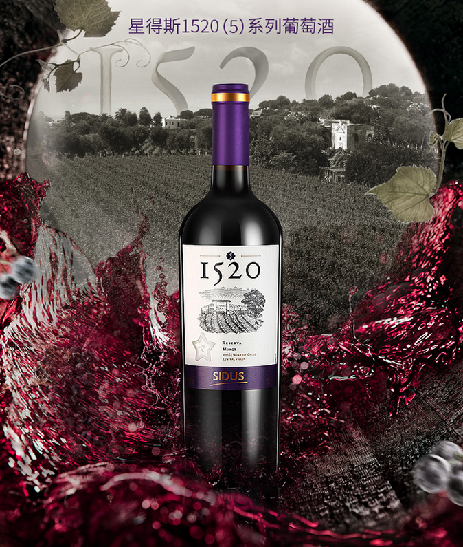 星得斯1520（5）梅洛干红葡萄酒